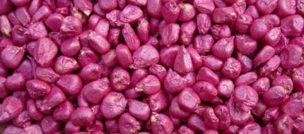 種子包衣測(cè)量方案- filmetrics F3-s1310 膜厚測(cè)量?jī)x